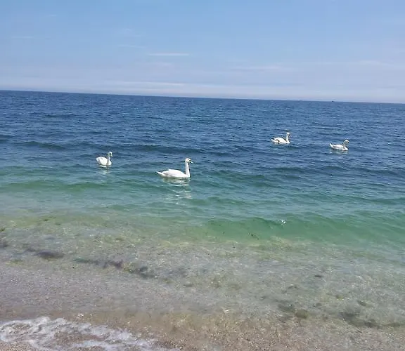 Hotel La John Vama Veche